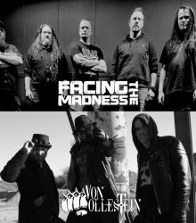 Facing the Madness + VonMollestein